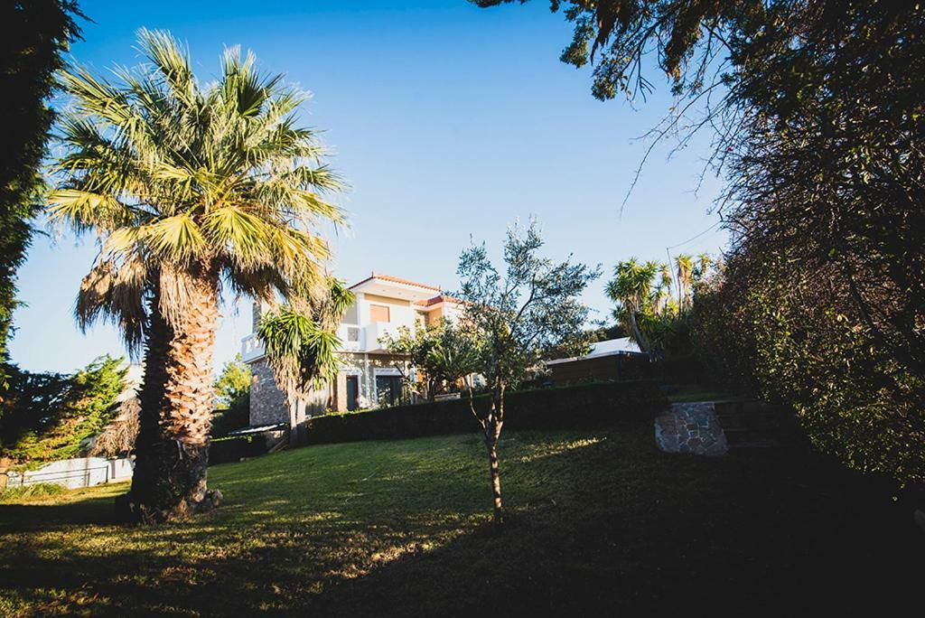 Villa Soula Анависсос Экстерьер фото